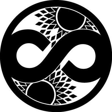 s-tyd icon